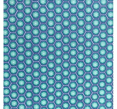Coupon imprimé hexagone vert et contour bleu